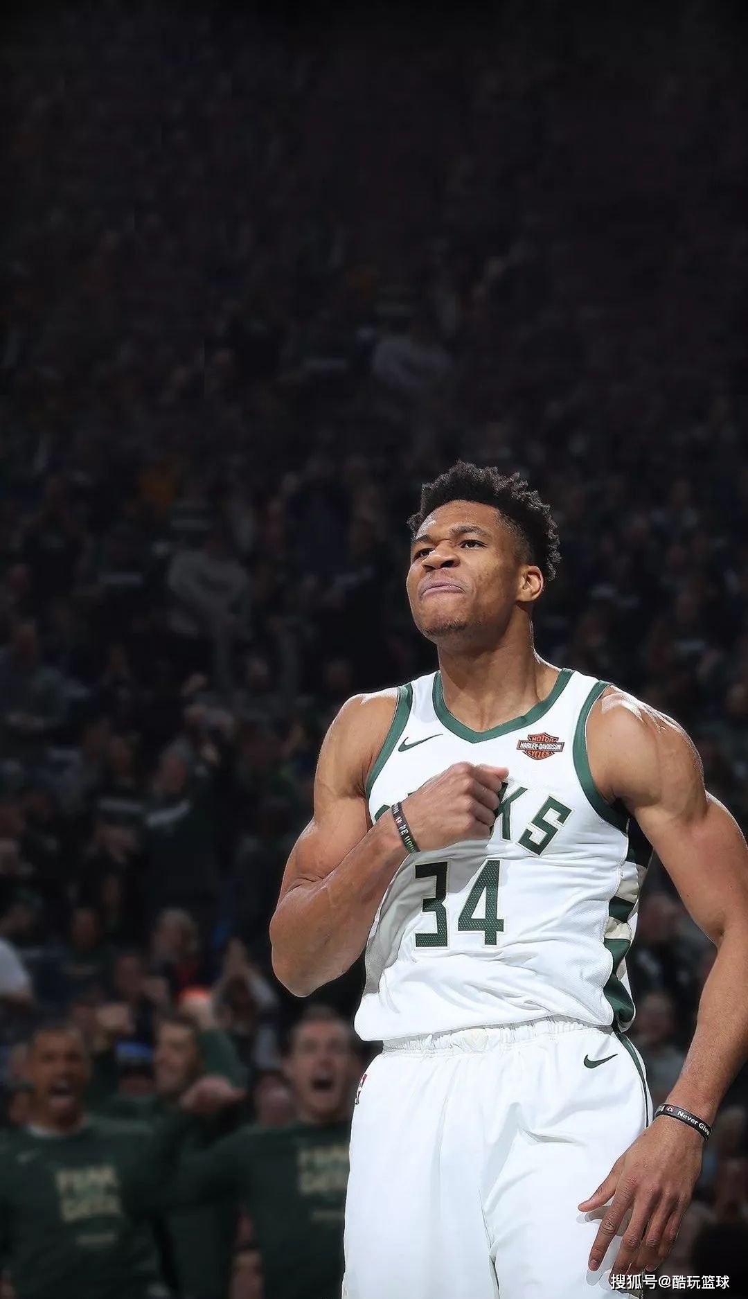 不急不躁 不急不躁